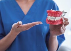 Beautiful young female dentist is holding a jaw and smiling while standing in his office